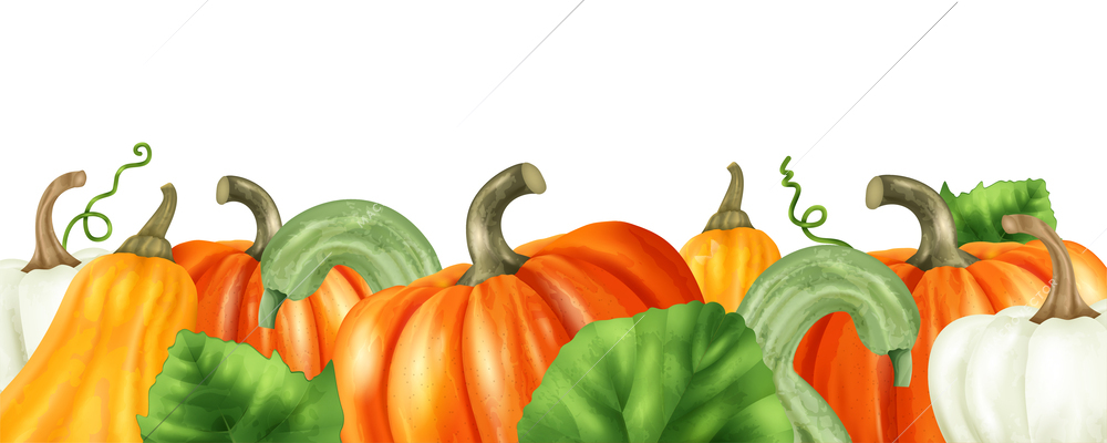 Realistic pumpkin border with ripe colorful fruits and leaves vector illustration