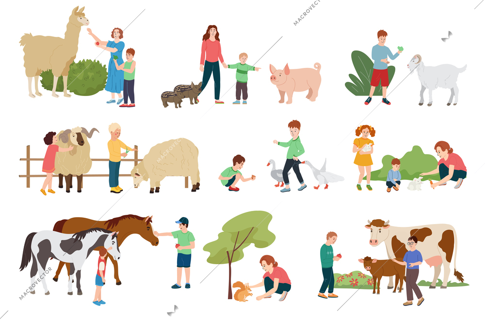 Contact farm flat compositions set of adults and children interacting with farm animals outdoors isolated vector illustration