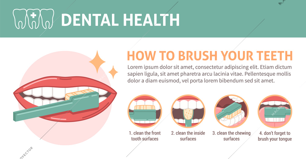 Dental health flat infographics with teeth brushing scheme vector illustration