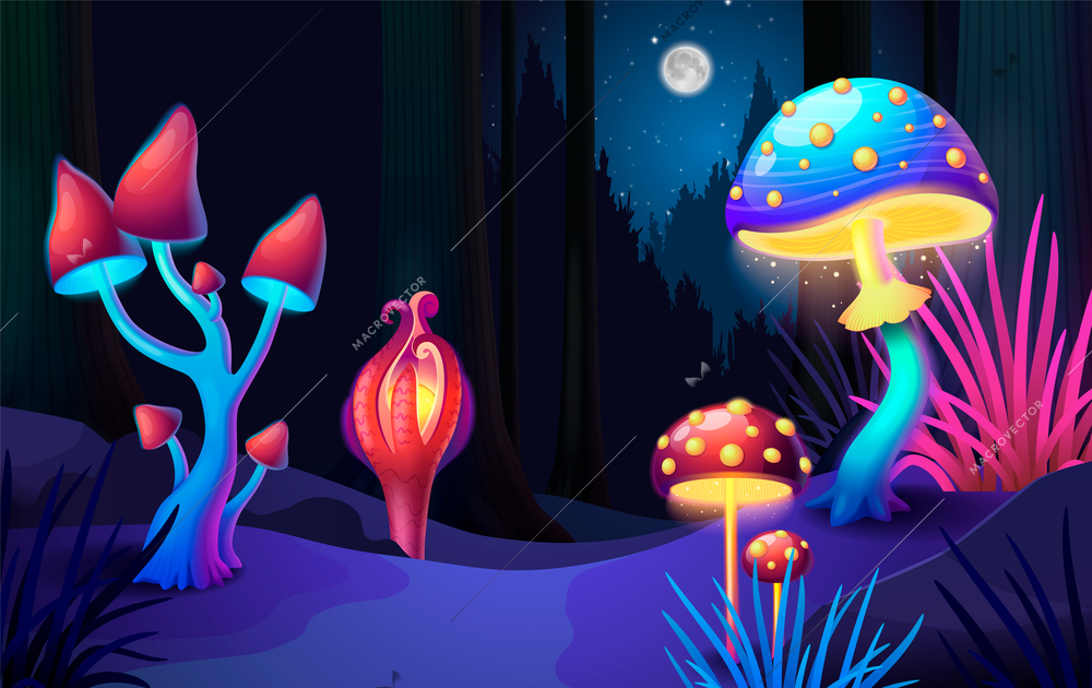 Magic mushrooms growing in dark night forest cartoon background vector illustration