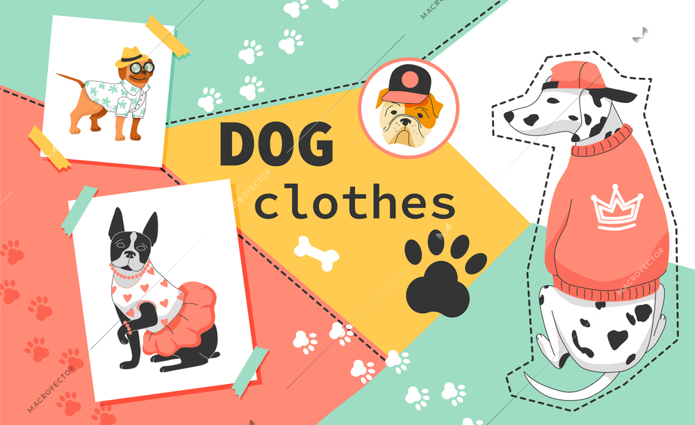 Dog clothes flat collage wit cute cartoon pets dressed in jacket skirt and sweater vector illustration