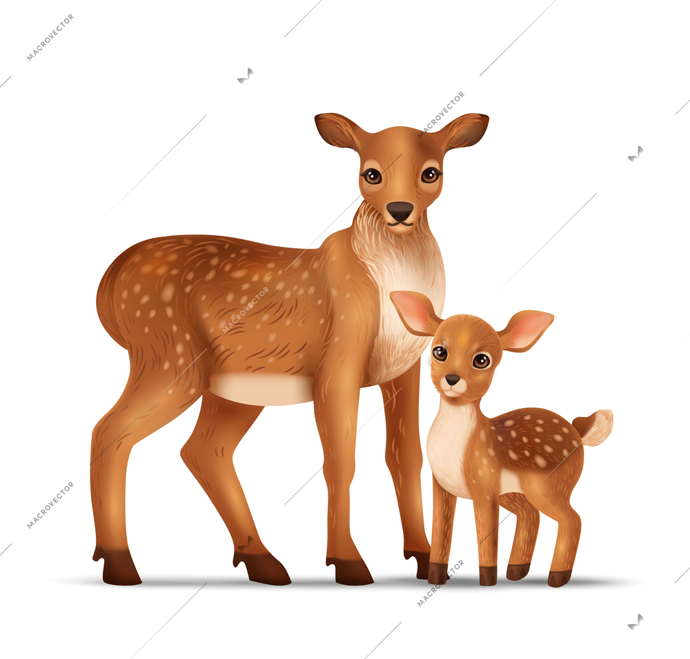 Realistic deers composition with isolated images of adult specimen and joey wild animals on blank background vector illustration