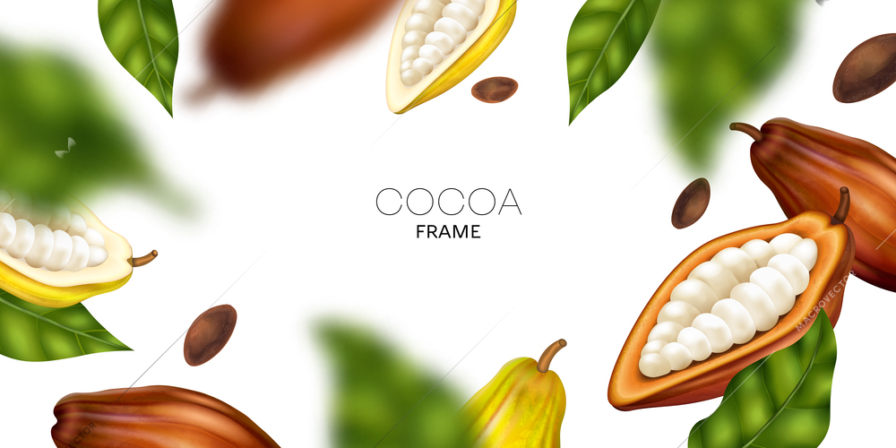 Realistic horizontal frame with cocoa pods leaves and blur effect vector illustration