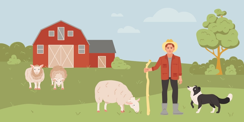 Male farmer grazing sheep with shepherd dog on farm flat vector illustration