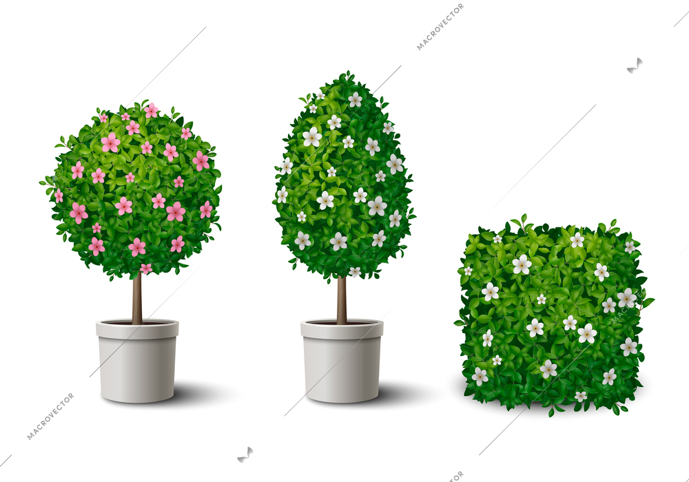 Realistic green blooming shrubs and small potted trees of different shapes isolated vector illustration