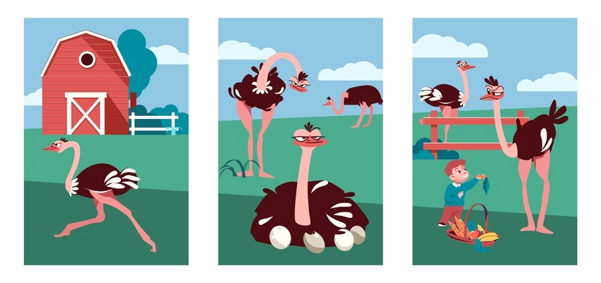 Ostrich farm set of three vertical compositions with flat outdoor views of barns people and birds vector illustration