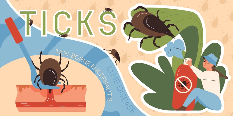 Insects ticks collage with encephalitis symbols flat vector illustration