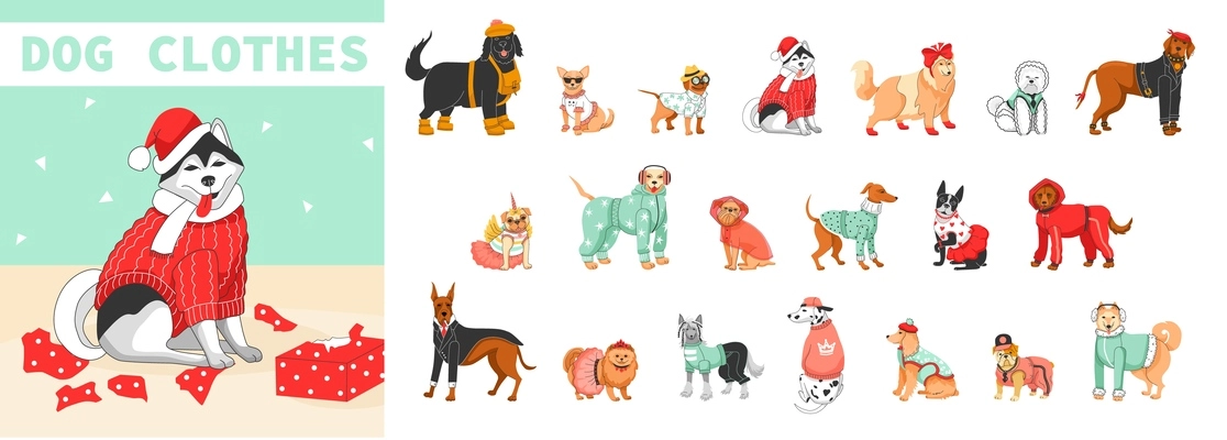 Dog clothes flat composition with set of different breed dogs in winter overalls sweaters insulated harnesses vector illustration