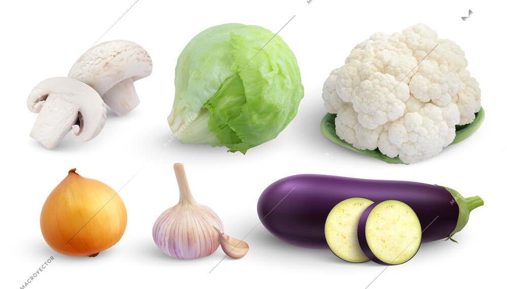 Vegetables set of isolated images with mushrooms onion garlic lettuce cauliflower and cabbage on blank background vector illustration