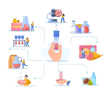 Artificial grown meat flat composition with human hand holding test tube and flowchart of isolated icons vector illustration