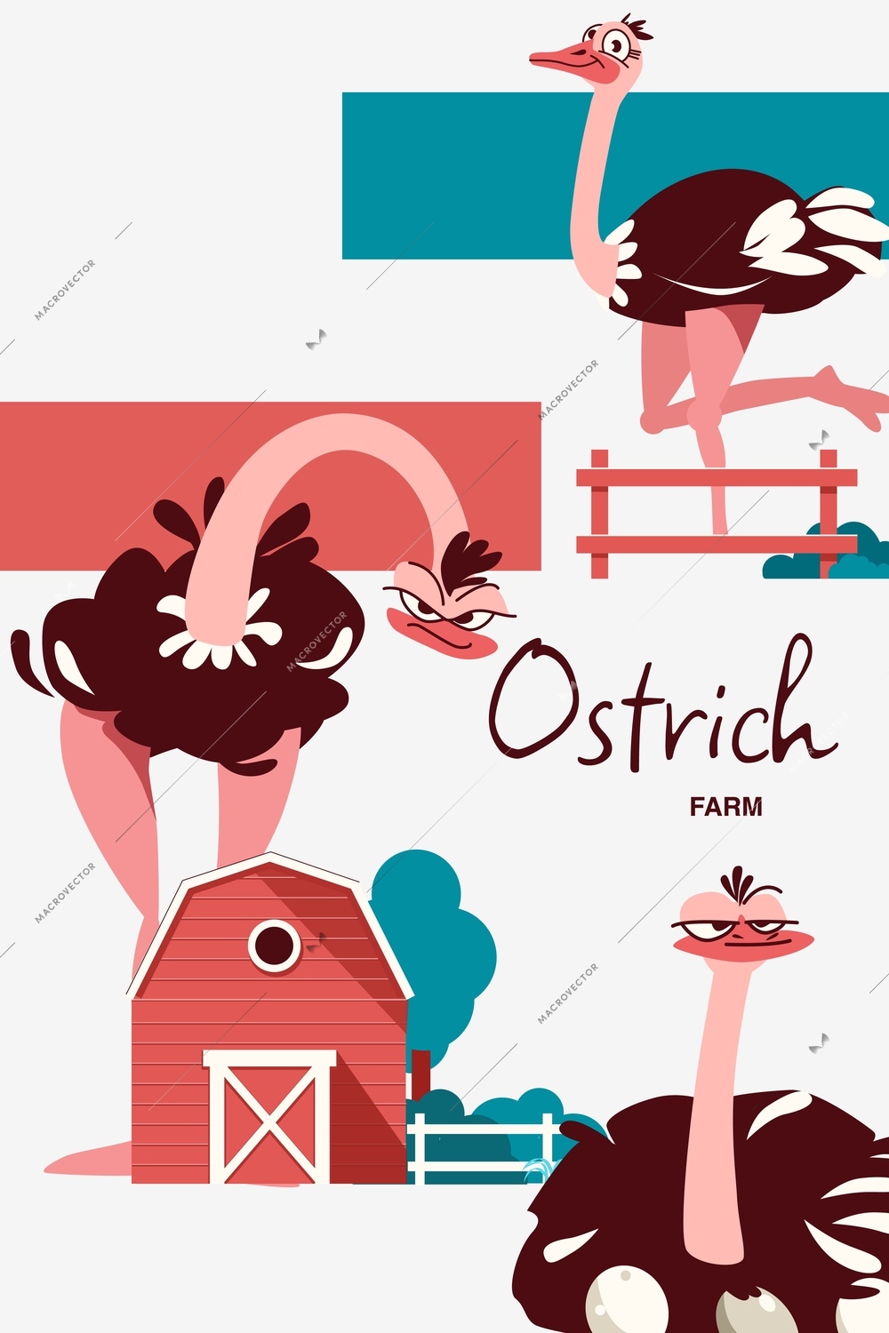 Ostrich farm vertical collage in flat style with funny birds and farmhouse vector illustration