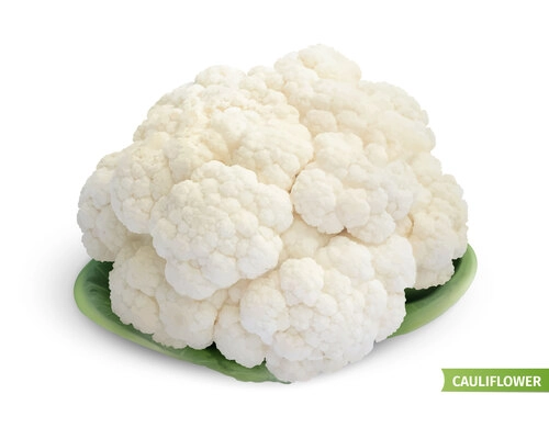 Cauliflower on dish composition with isolated image of vegetable on white background with text and shadow vector illustration