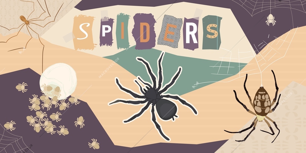 Spider insect composition with collage of flat icons with maggots bugs and their net with letters vector illustration