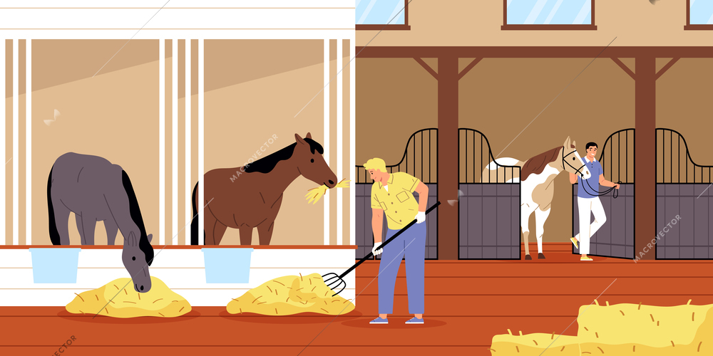 Equine stable interior flat background with workers feeding and caring about purebred animals vector illustration