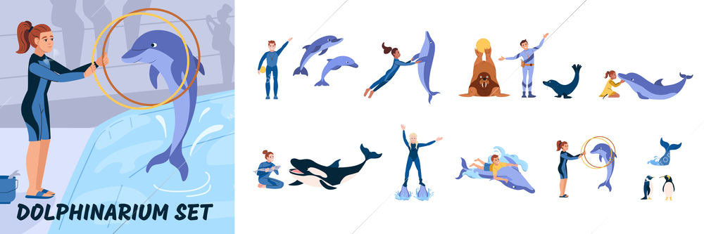 Flat composition set of dolphins seal lions orcas penguins during show at dolphinarium isolated vector illustration