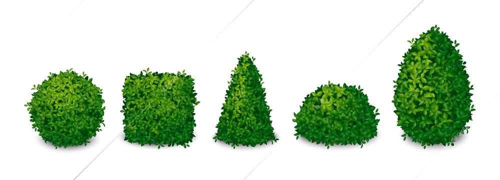 Green bushes in shape of geometrical figures realistic set isolated vector illustration