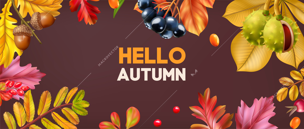 Hello autumn seasonal frame made of falling  golden red and orange colored leaves ripe acorns chestnuts and berries realistic vector illustration
