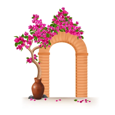 Bougainvillea tree growing in clay pot encircling the arch realistic object isolated at white background vector illustration