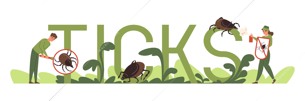 Insects ticks text concept with safety symbols flat vector illustration