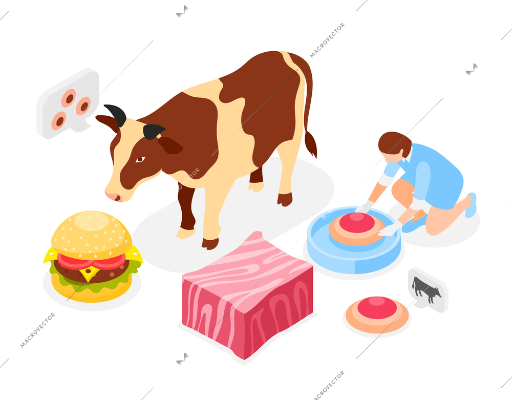 Artificial grown meat isometric concept with cow character and cultured beef burger made from animal cells vector illustration