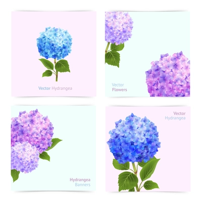 Romantic hydrangea paper cards set with blossoming flowers isolated vector illustration