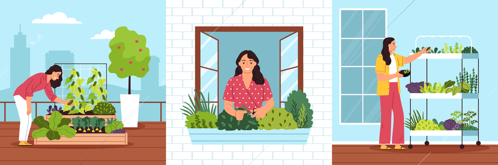 Community garden three square compositions with young women choosing flowers and plants for urban planting flat vector illustration