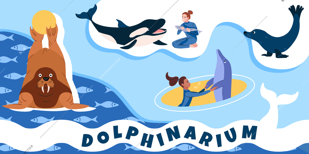 Dolphinarium aquarium collage in flat style with female handlers and cute clever animals performing tricks vector illustration