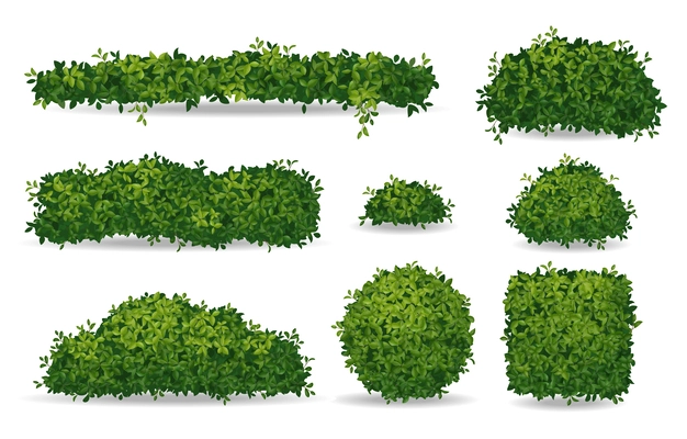 Set of realistic green bushes and tree crowns isolated on white background vector illustration