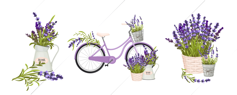 Floristic compositions with lavender twigs in pots jug and as decor of bicycle realistic vector illustration