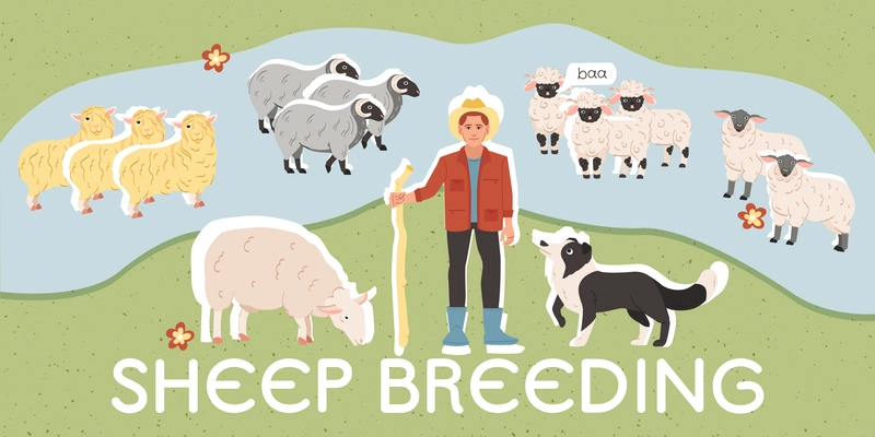 Farmer standing on lawn with various sheep breeds flat collage vector illustration