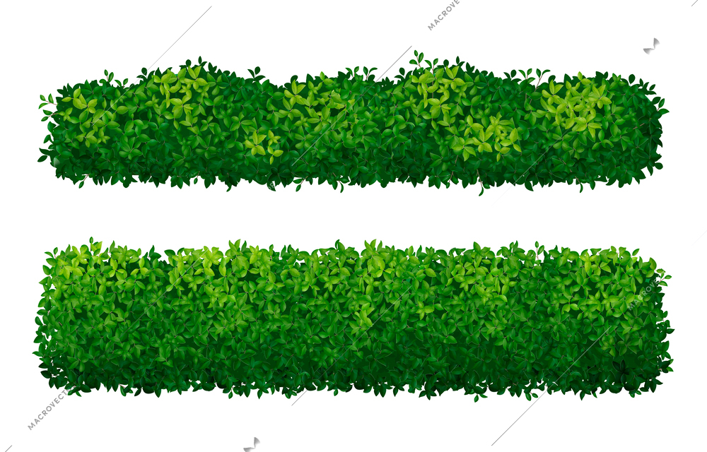 Realistic bushes green hedges set isolated on white background vector illustration