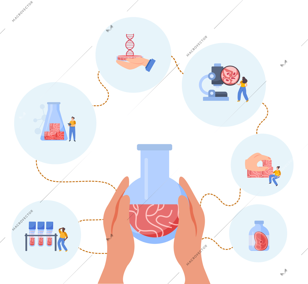 Artificial grown meat composition with blank background and human hands holding lab tube with meat substance vector illustration