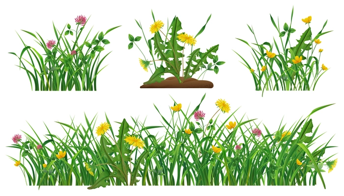 Wild flowers in green grass realistic set of dandelions clovers buttercups isolated vector illustration