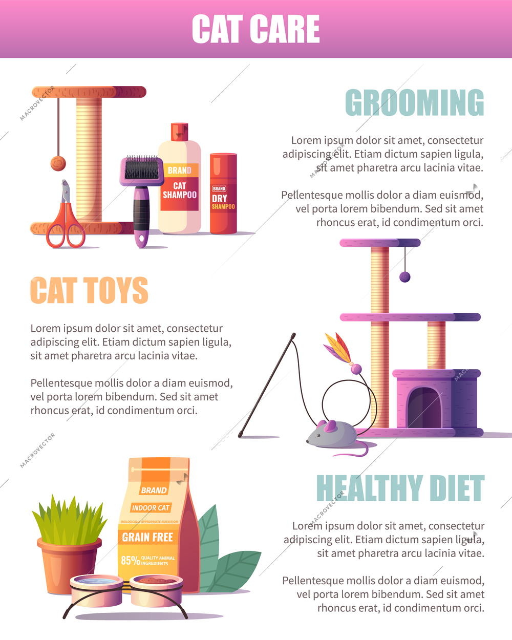 Cat care cartoon infographic poster with information about grooming toys and healthy diet vector illustration