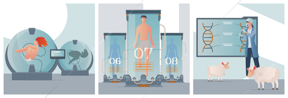 Cloning genetics set of three square compositions with chambers floating human bodies sheep scientist and dna vector illustration