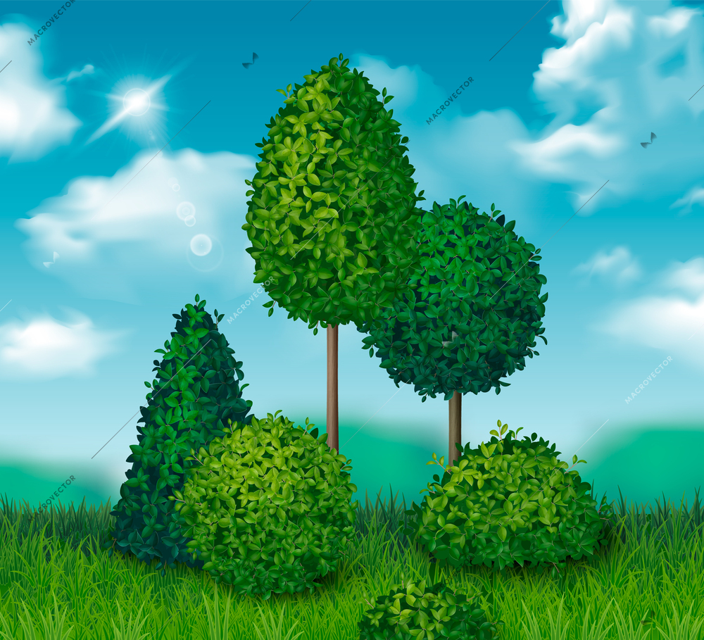 Green bushes and small trees ornamental plants in background with blue sky realistic vector illustration