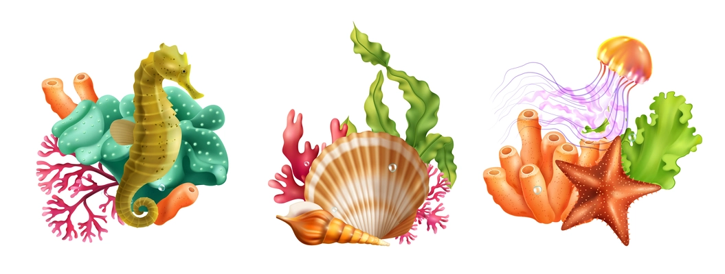 Undersea world three realistic compositions consisting of seahorse shell jellyfish starfish coral seaweed isolated vector illustration