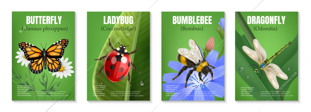 Realistic insect set of four vertical posters with text and images of butterfly ladybug bumblebee dragonfly vector illustration