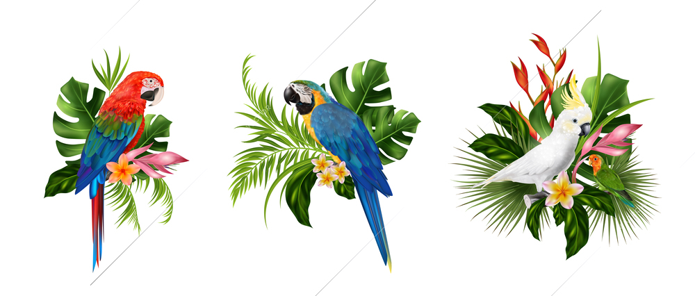 Set with isolated compositions of realistic parrot images and exotic leaves with flowers on blank background vector illustration