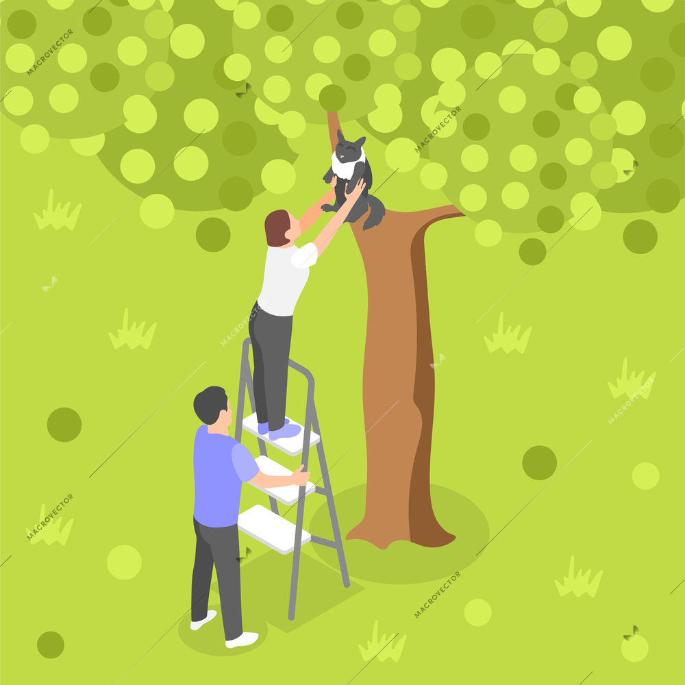People using folding ladder to rescue cat stuck in tree isometric background vector illustration