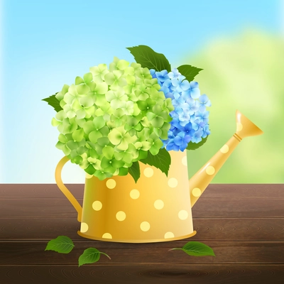 Watering can with green and blue hydrangea flowers on wooden table vector illustration