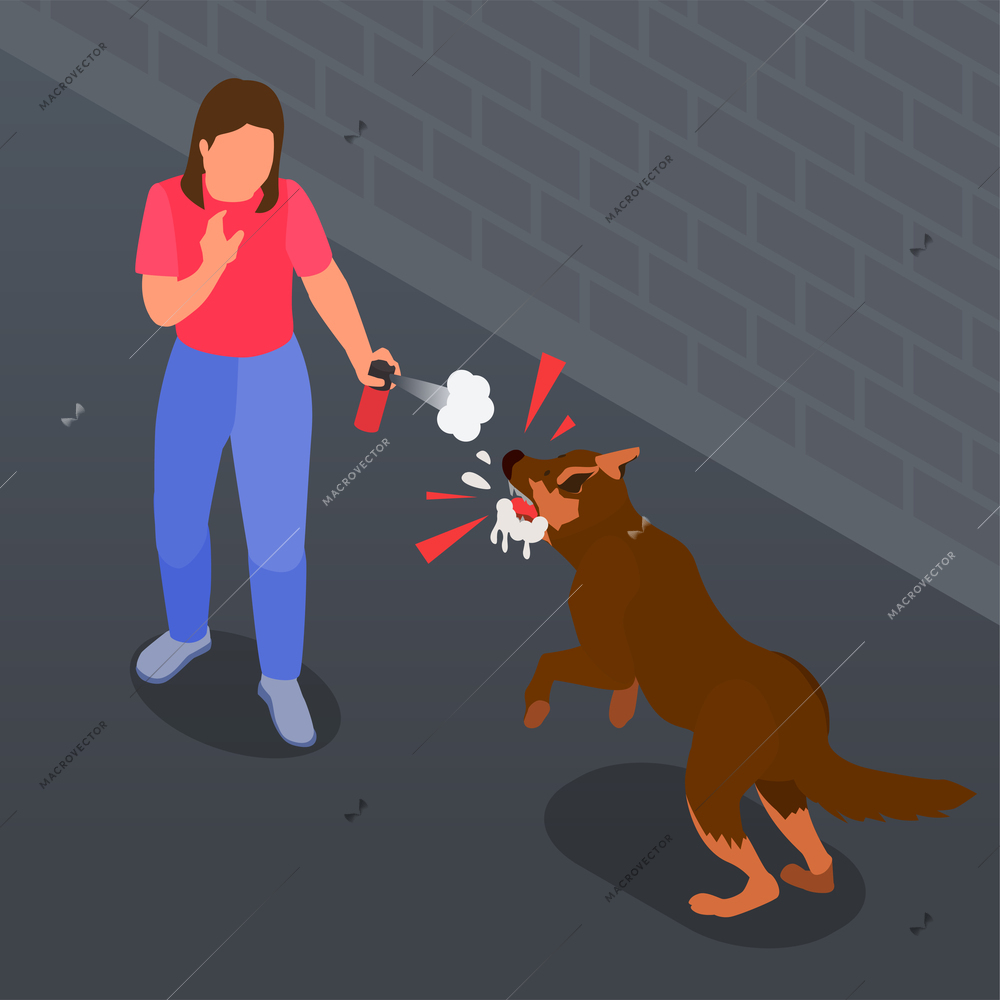 Self defence isometric concept with woman protecting herself from angry dog with pepper spray 3d vector illustration