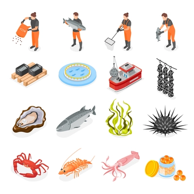 Mariculture set with isometric icons of sea food and human characters of workers on blank background vector illustration