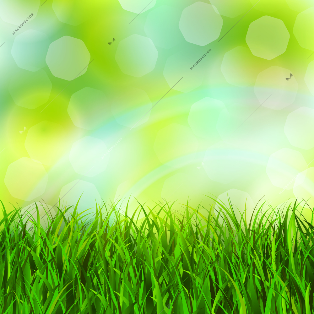 Abstract green grass field background vector illustration