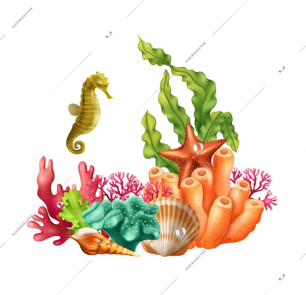 Underwater realistic composition consisting of seahorse shell starfish coral seaweed creatures vector illustration