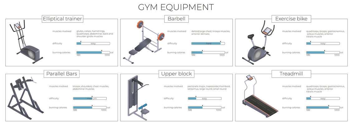 Realistic infographic presenting information about most popular gym equipment elliptical trainer treadmill barbell vector illustration