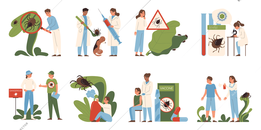 Ticks insects set with healthcare symbols flat isolated vector illustration