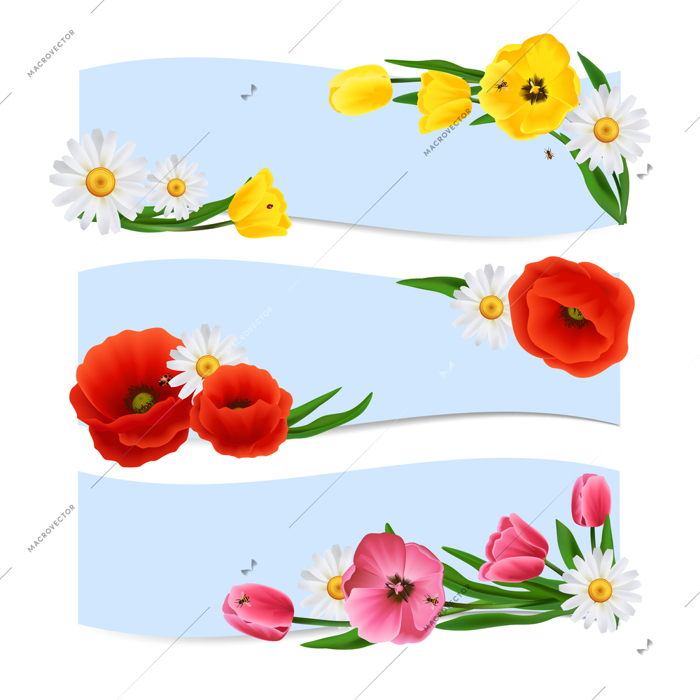 Floral banners horizontal set with daisy poppy and tulip flowers isolated vector illustration