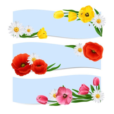 Floral banners horizontal set with daisy poppy and tulip flowers isolated vector illustration