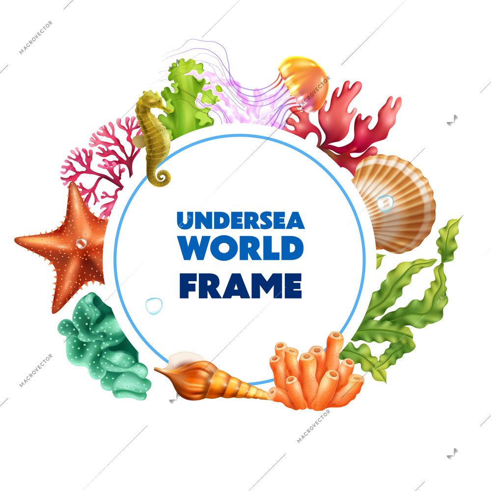 Undersea world colored round realistic frame consisting of coral seaweed seahorse shell jellyfish starfish  vector illustration
